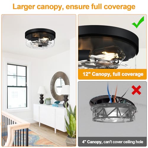 Flush Mount Ceiling Light Fixtures
