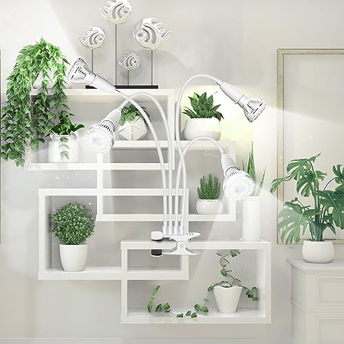 Grow Lights for Indoor Plants