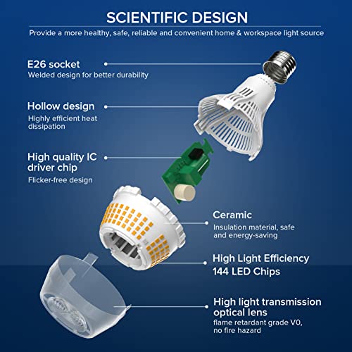 250W Equivalent LED Light Bulb 4000 Lumens (2 Count)