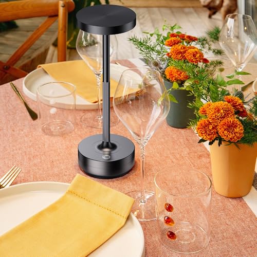 LED Cordless Table Lamp Rechargeable (2 Count)