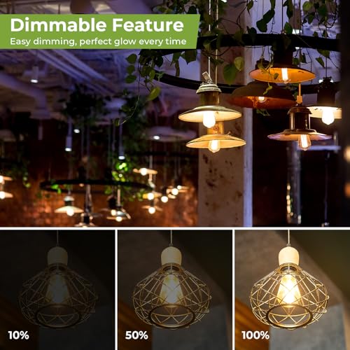 LED Edison Bulb 60 watt Equivalent (12 Count)