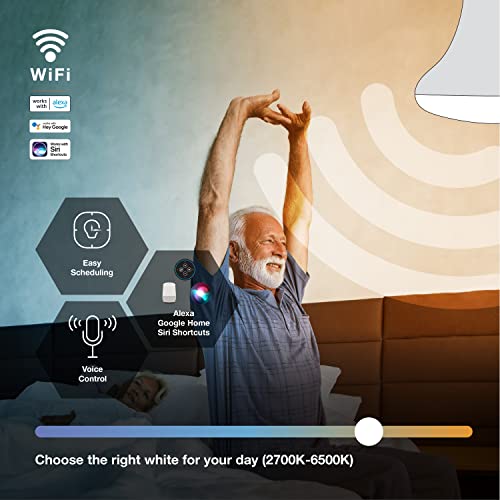 Sylvania WiFi LED Smart BR30 Light Bulb