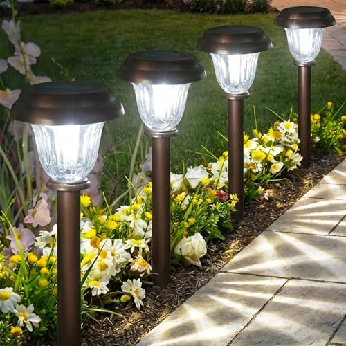 Solar Lights Outdoor (6 Count)