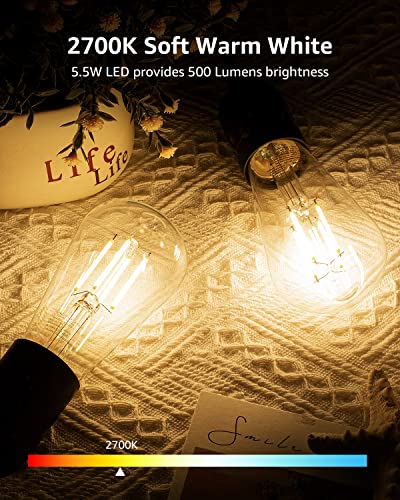 Dimmable E26 Edison LED Bulbs (6 Count)