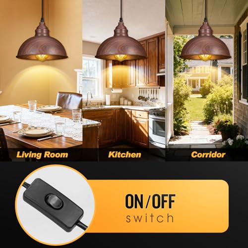 Plug in Pendant Light