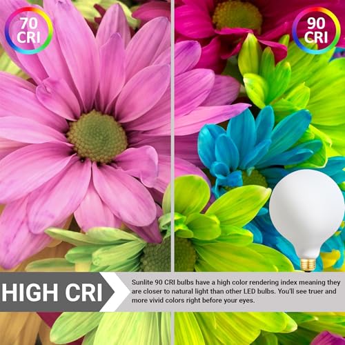 LED Light Bulb G30 Dimmable Flick