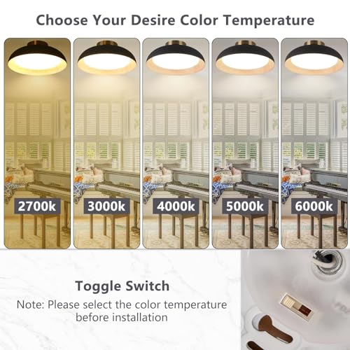 Flush Mount Ceiling Light