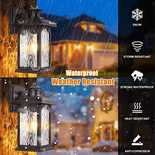 Motion Sensor Outdoor Wall Light Fixture