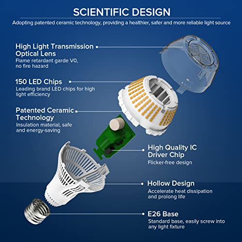 Dimmable LED Light Bulbs