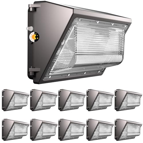 10 Pack 250W Wall Mount Wall Pack (10 Count)