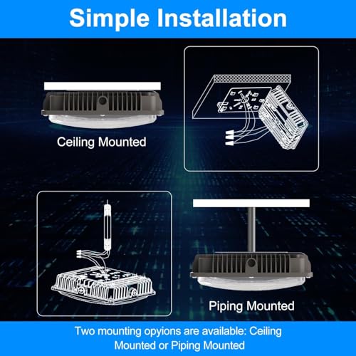 LED Canopy Light 60W (60W 6PACK)