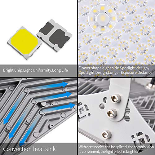 300W LED Flood Light