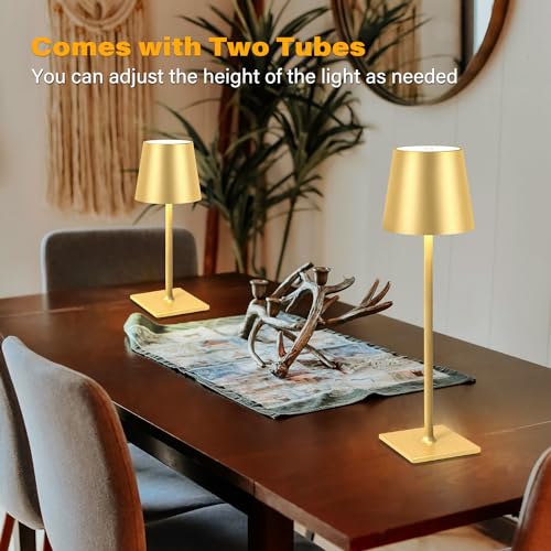 2 Pack Cordless Table Lamps (2 Count)