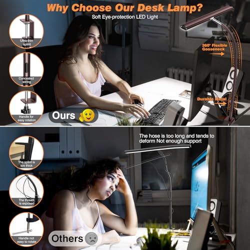 LED Desk Lamp with Clamp