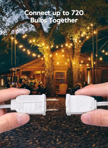 Outdoor String Lights (25 Count)