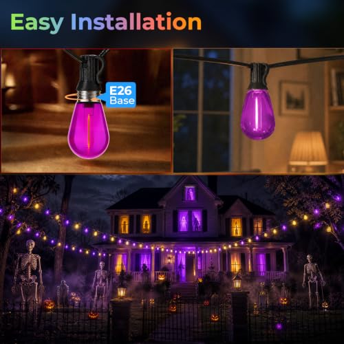 36 Pack S14 Orange and Purple Light Bulbs for String Lights (36 Count)