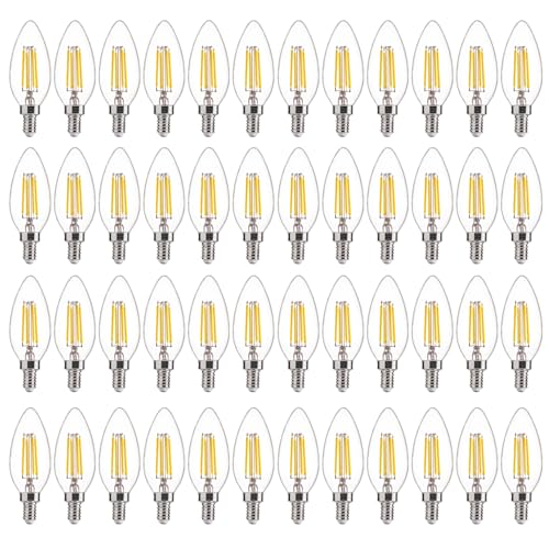 48 Pack Dimmable LED Candelabra Bulbs (48 Count)
