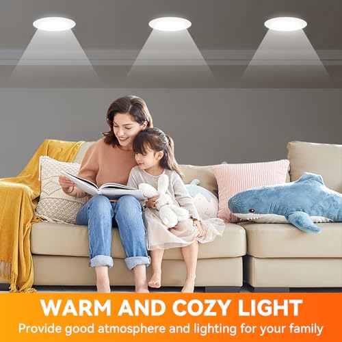 12 Pack BR30 Flood Light Bulb Indoor (12 Count)