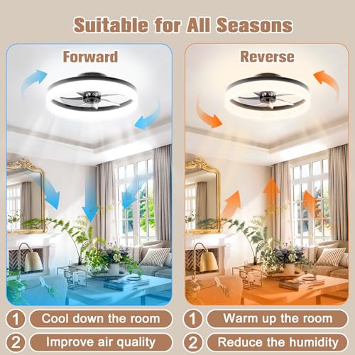 Low Profile Ceiling Fans with Lights and Remote