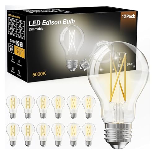 12 Pack A19 Vintage LED Edison Bulbs (12 Count)