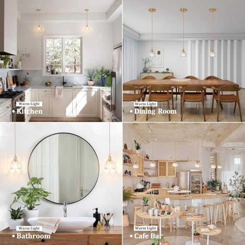 Pendant Light 2 Pack with Clear Tulip Glass Lmapshade (2 Count)