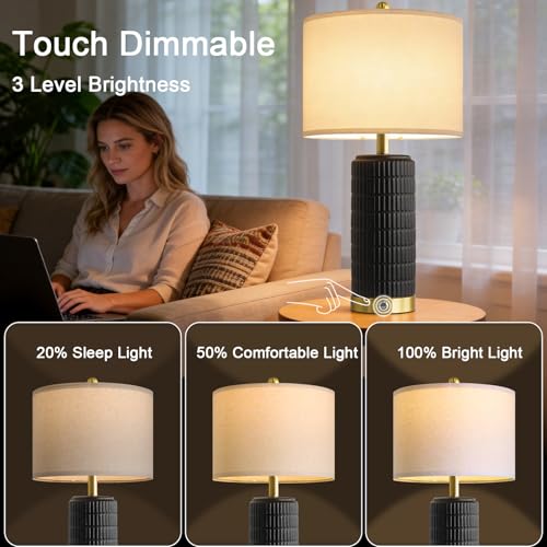 Ceramic Table Lamps Set of 2 for Living Room (2 Count)