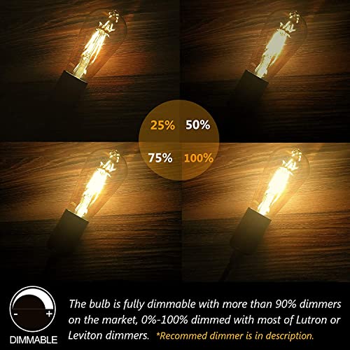 Edison Bulb ST64 (12 Count)
