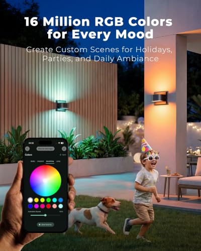 Outdoor Wall Lights (Black / 1 Pack)
