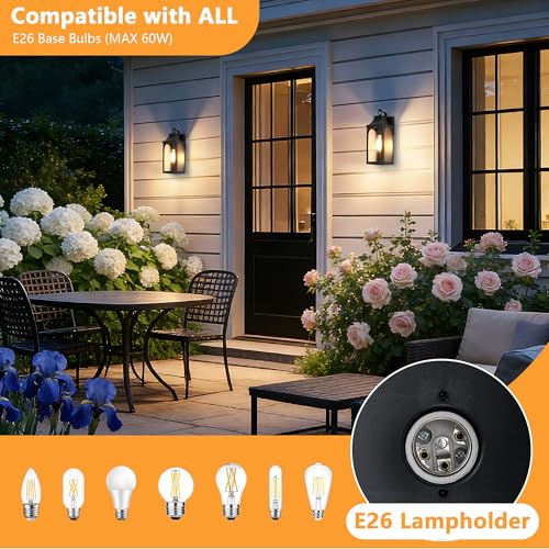 13.6 Inch Matte Black Exterior Wall Lantern with Clear Glass Shade