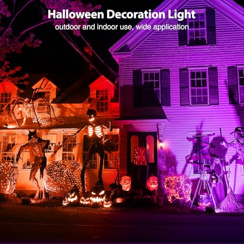 Orange and Purple Halloween Lights (Orange and Purple)
