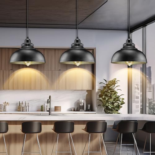Plug in Pendant Light