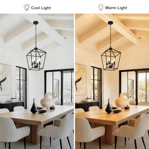 4 Light Chandelier