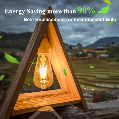 Dimmable Edison Bulbs 100W Equivalent (6 Count)