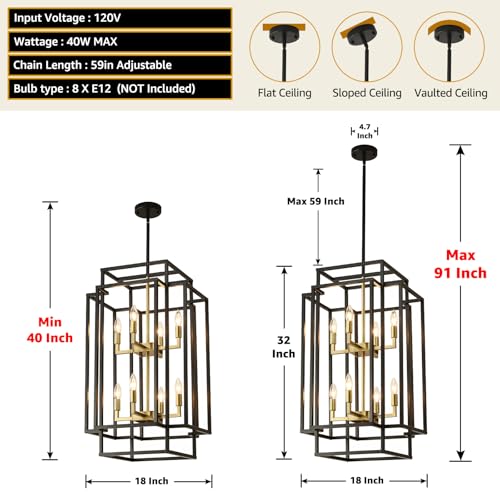 Black & Gold Foyer Lighting Fixture 8