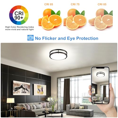 DLLT 2Pack Flush Mount LED Ceiling Light (2 Count)