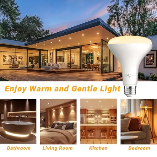 BR30 LED Light Bulbs