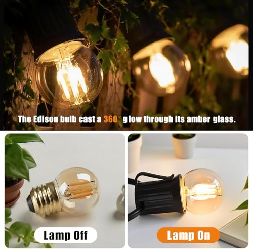 Dimmable G40 LED Bulbs 3W (6 Count)