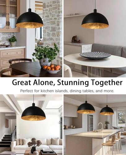 20 Inch Large Black Chandelier Dome