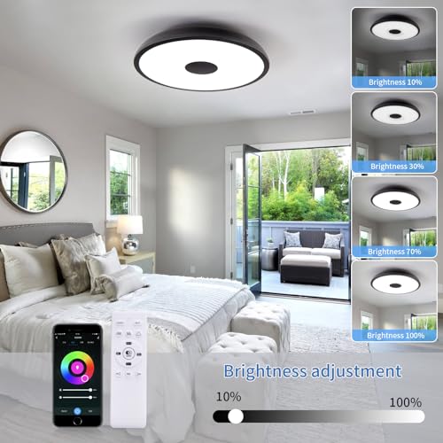 Black Smart Waterproof LED Flush Mount Ceiling Light Fixture