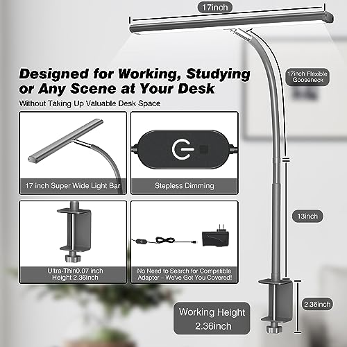 LED Desk Lamp with Clamp