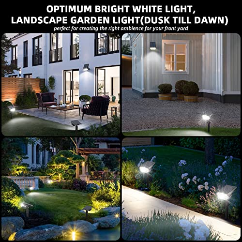 Solar Spot Lights (10 Count)