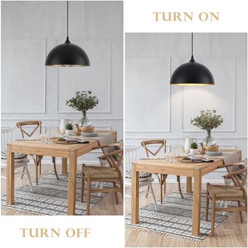 Black Pendant Light Fixtures
