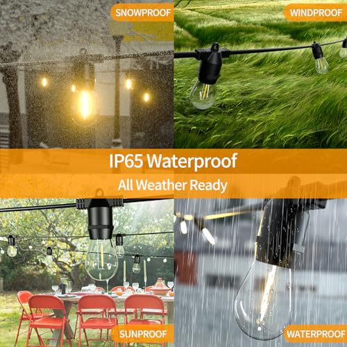 S14 LED Outdoor String Lights (48 Foot)