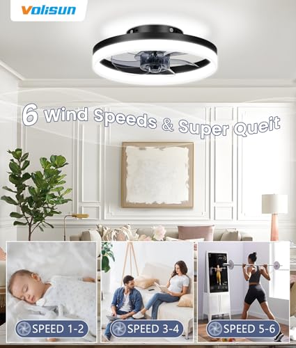 13 inch Small Ceiling Fans with Lights and Remote