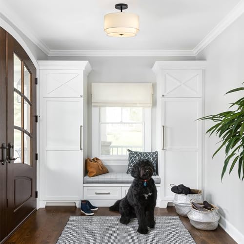 3 Light Semi Flush Mount Ceiling Light Fixture