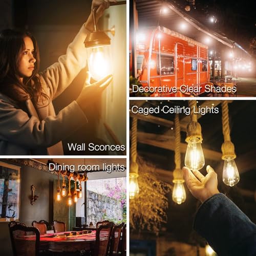 6 Pack Vintage LED Edison Bulbs (6 Count)