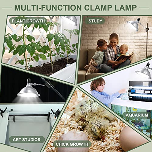 8 Pack Clamp Lamp Light with Aluminum Reflector