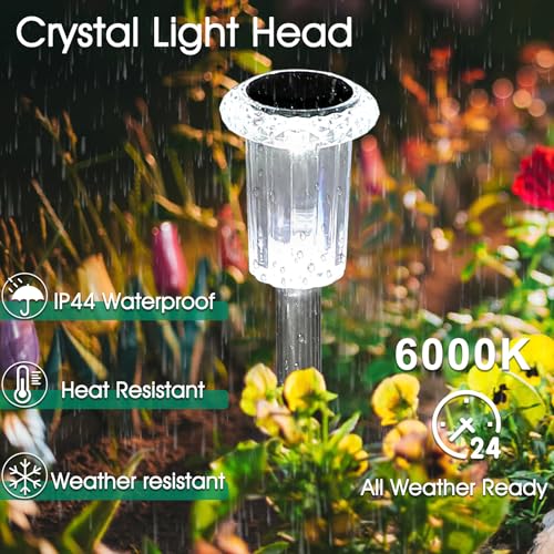 Solar Lights Outdoor (15 Count)