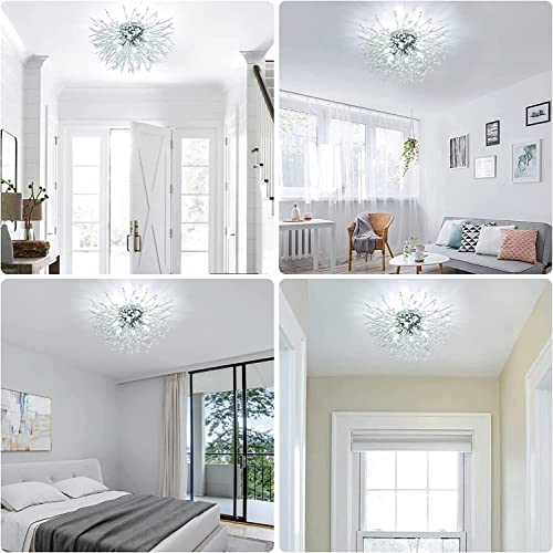 Crystal Sputnik Firework Close to Ceiling Light