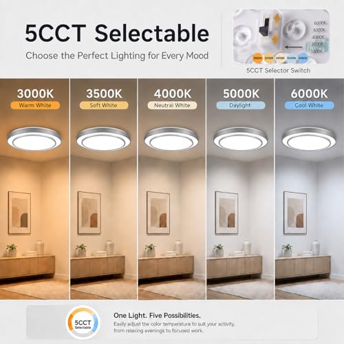 20Inch LED Flush Mount Ceiling Light (Silver / 20Inch)
